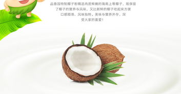 海南特产 品香园食品纯品椰子粉400克椰香浓郁纯正可口 厂家直销